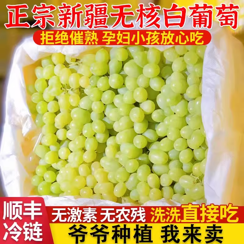 正常发货正宗特级新疆吐鲁番无核白葡萄当季新鲜现摘马奶青4.5斤