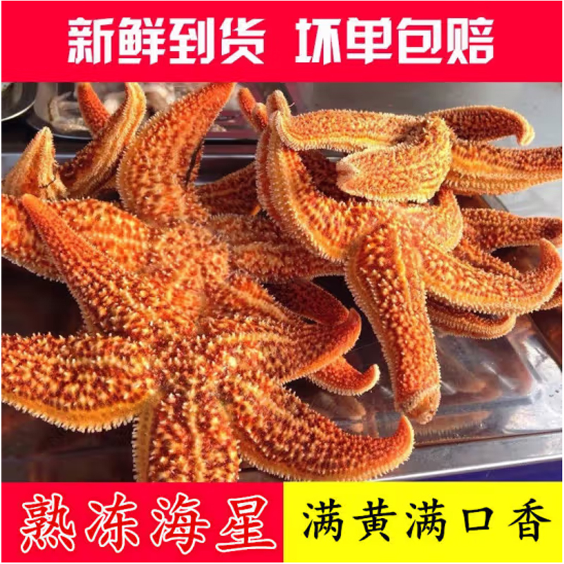 海星鲜活派大星新鲜速冻海星满籽海鲜野生五角星食用海星