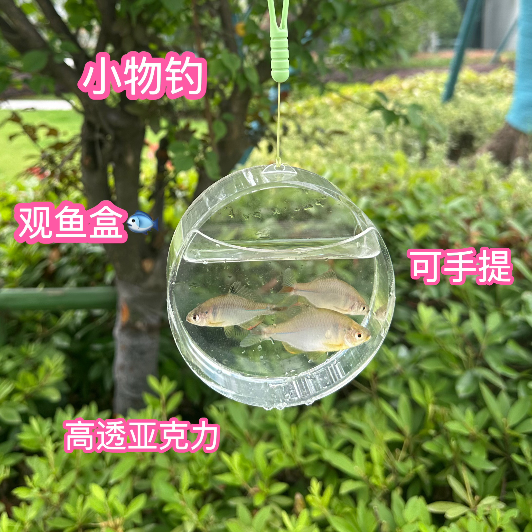 小物钓亚克力观鱼盒手提带刻度清澈透亮圆形便携钓鱼透明盒子户外