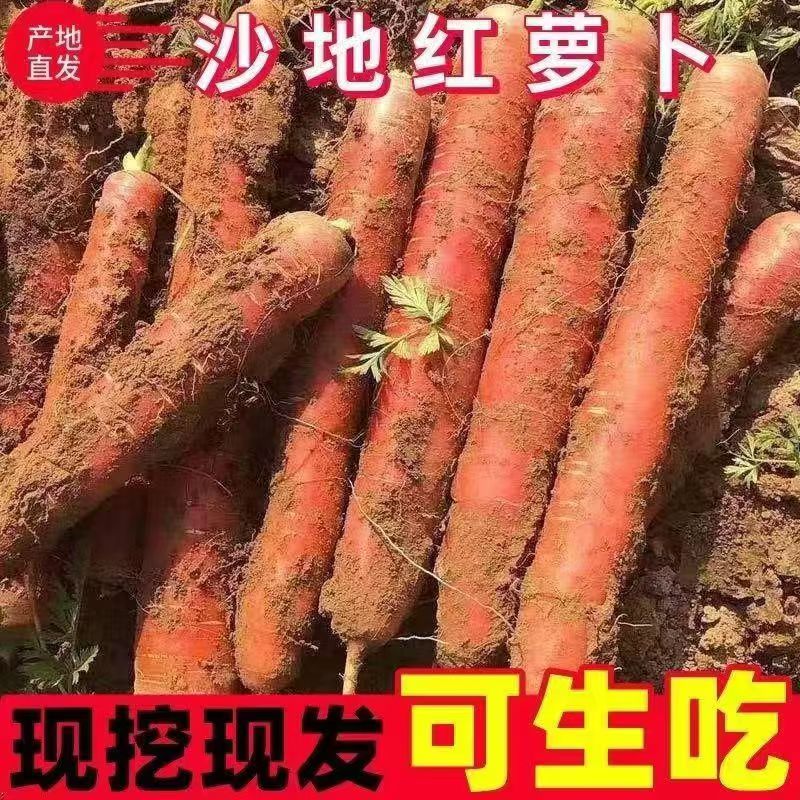 陕西沙地红萝卜新鲜蔬菜生吃脆甜水果红萝卜脆甜红萝卜