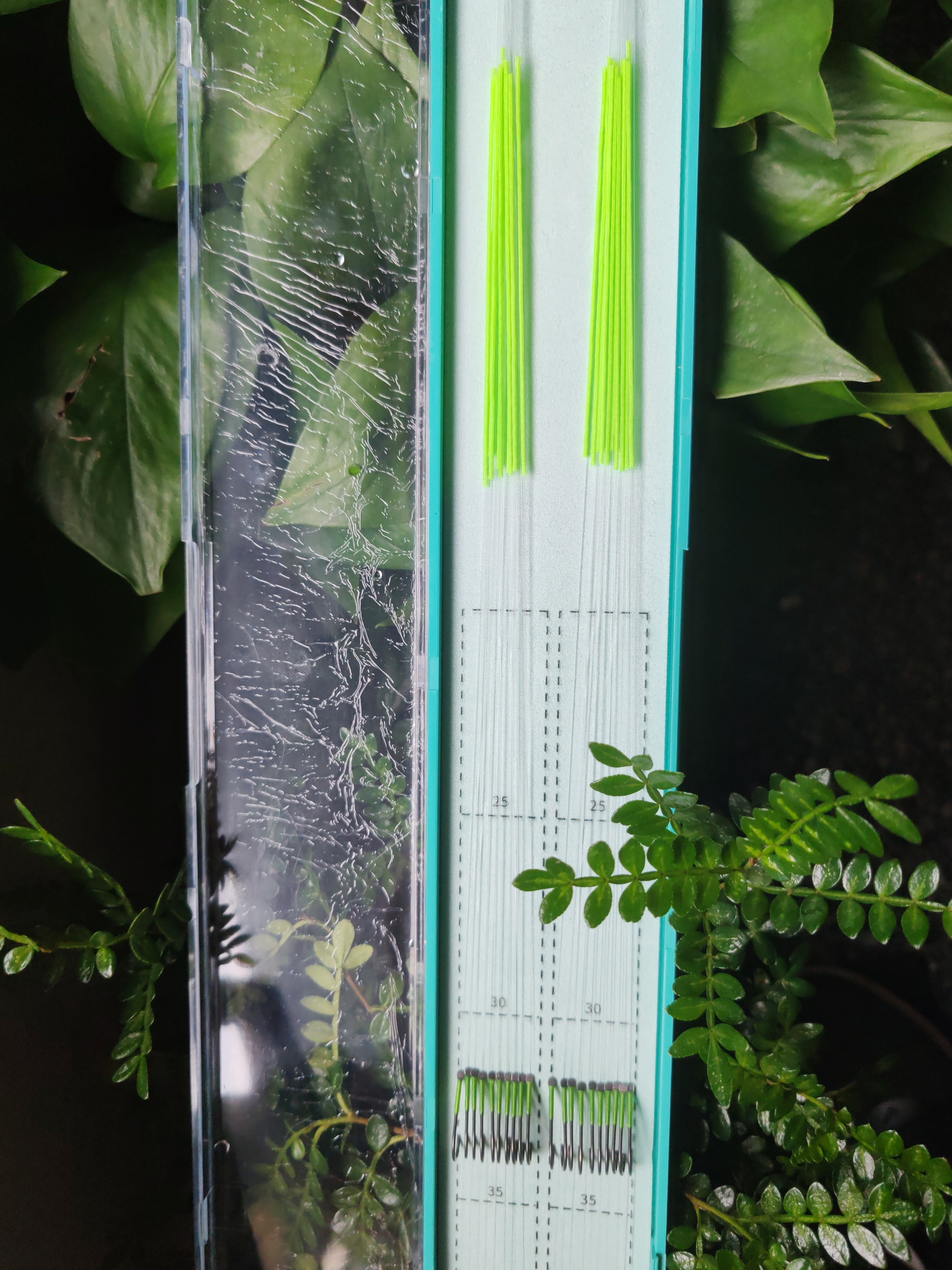 明作鱼钩，鲢鳙，狼牙，关东子线（加护线绳垂钓双钩成品）长度备注