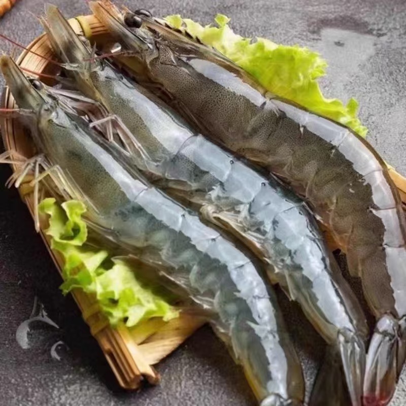 海洋大虾 每公斤30-40只 净重3.5斤 合计 50-70只左右海洋大虾