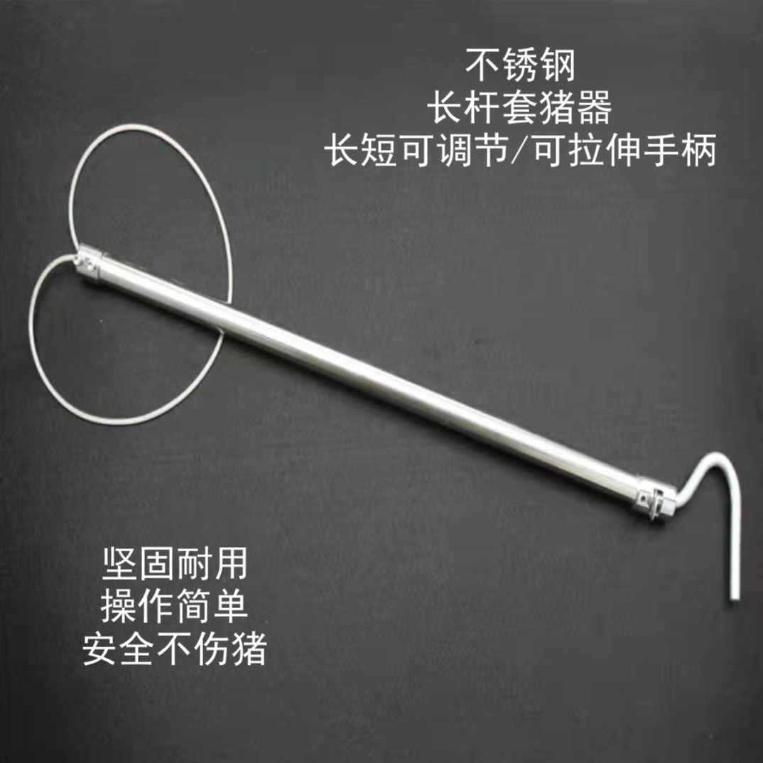 兽用套猪器小猪保定器抓猪工具 套猪绳猪套子 猪用保定器畜牧设备