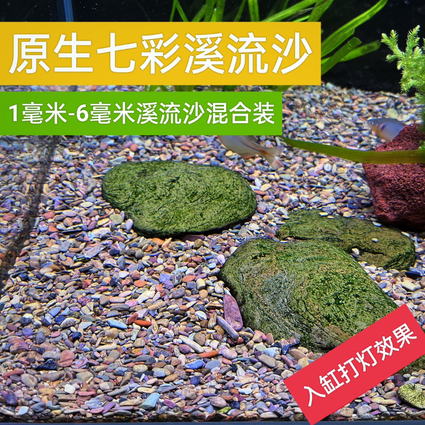 鱼缸造景底沙溪流沙原生溪流沙五彩溪沙河沙鱼缸造景溪流沙石