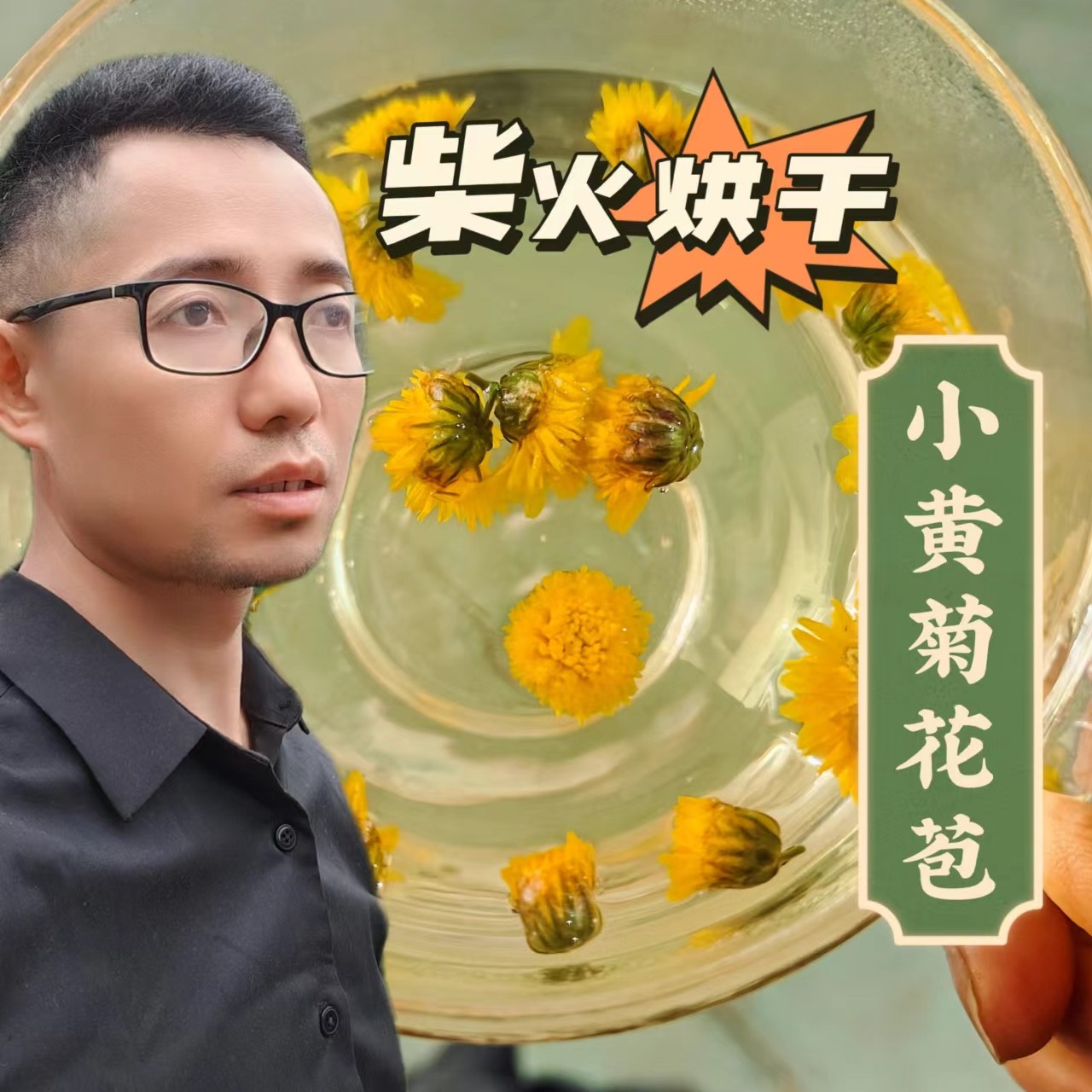 山居江强花苞小黄菊胎菊（伴有少数盛开的花）柴火烘干菊花花苞罐装