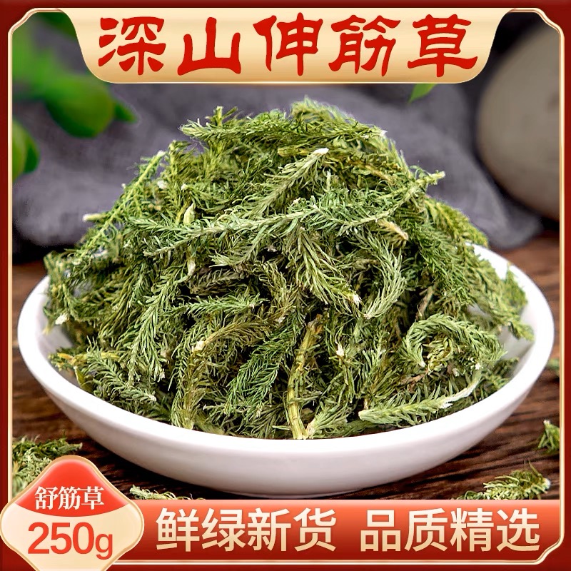 广西长寿之乡正宗野生伸筋草250g/500g