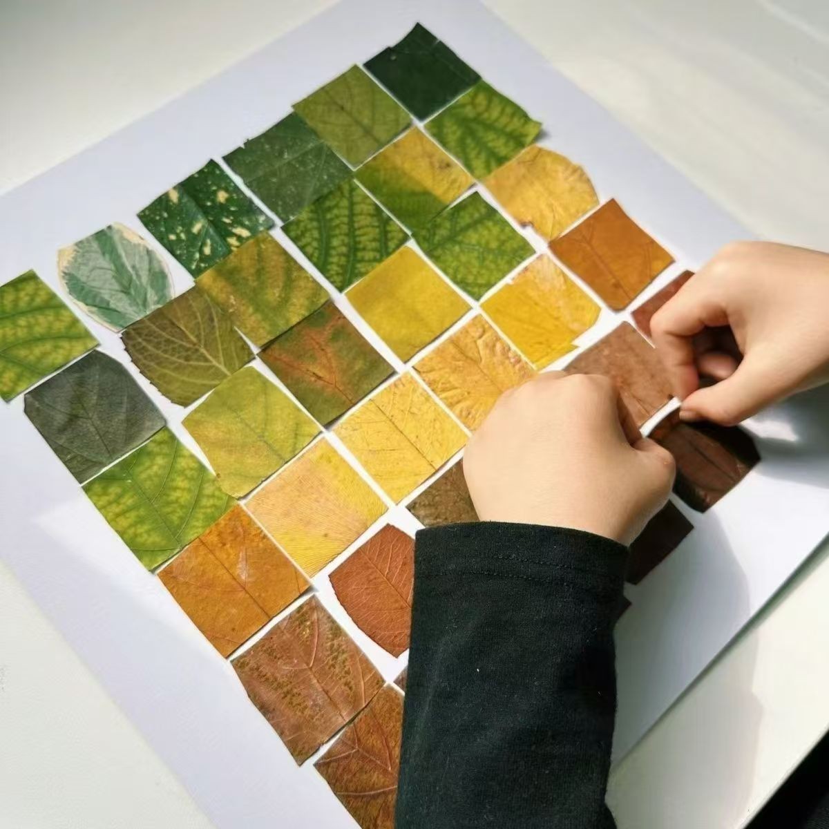 秋天收集树叶装饰画框48宫格24宫格16宫格diy落叶相框落叶相框