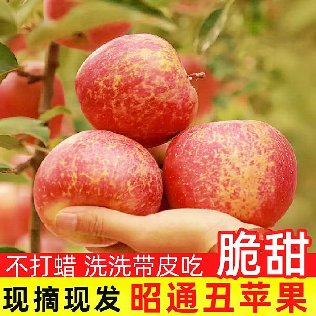 正宗云南昭通丑苹果孕妇适用脆甜水果现摘现发
