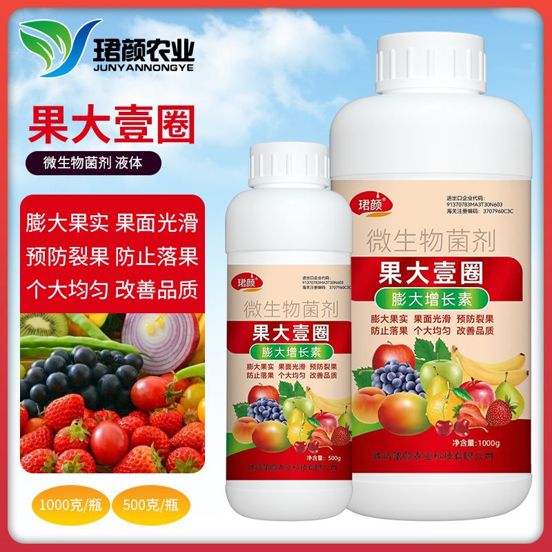 珺颜果大壹圈膨大果实果面光滑防治落果个大均匀预防裂果改善品质