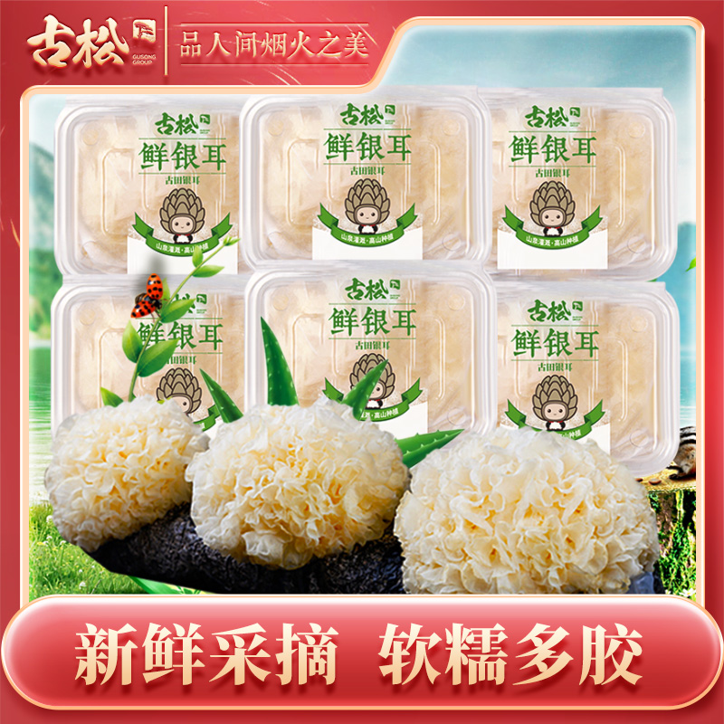 【古松】福建新鲜银耳6朵约700g