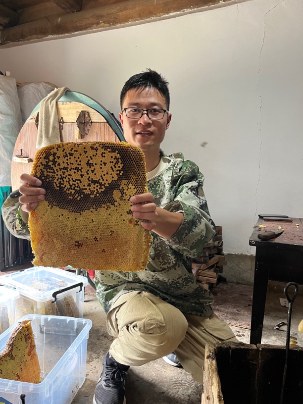 野生土蜂蜜，稀有中草植物蜂巢蜜500g一盒，嚼着吃的蜂蜜，纯天然