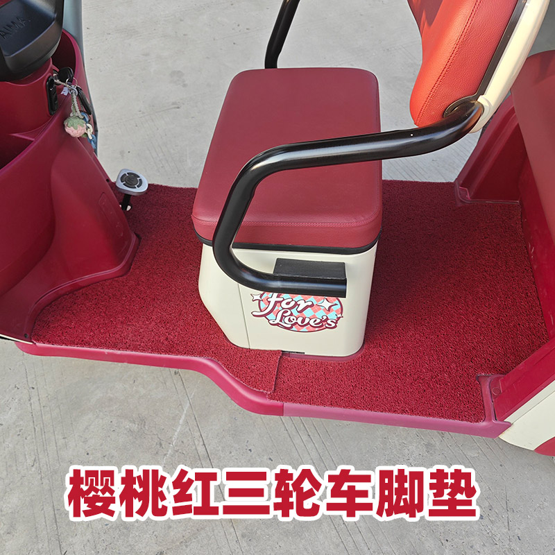 电动车卡通通用脚垫丝圈防水电动三轮车防滑脚踏垫踩可裁剪