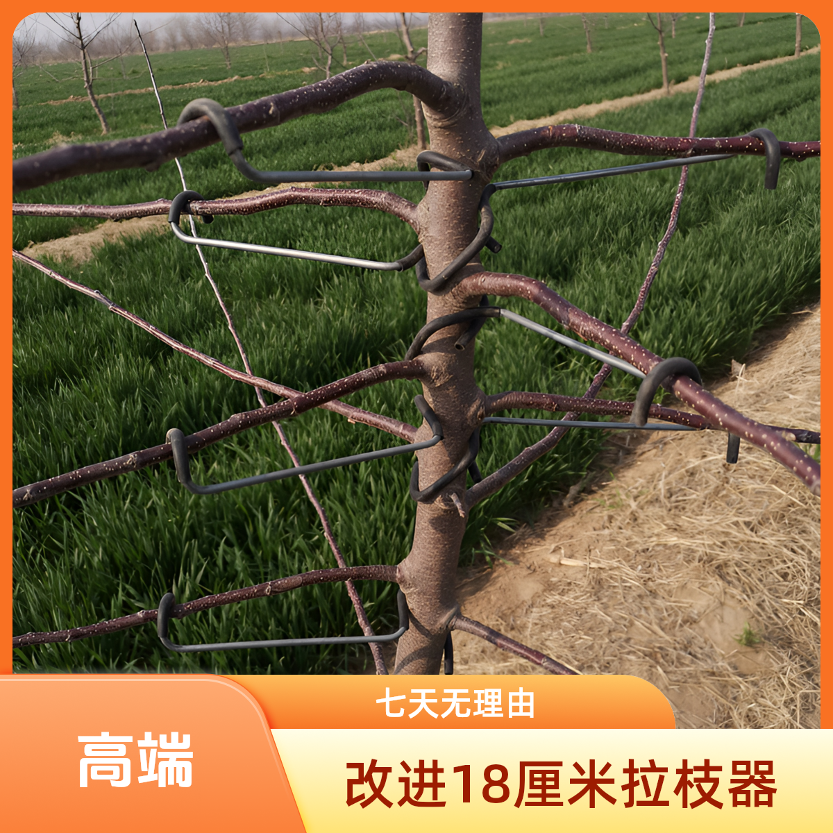 改进18厘米型园艺果树钢丝拉枝器定型压枝器适用多种果树