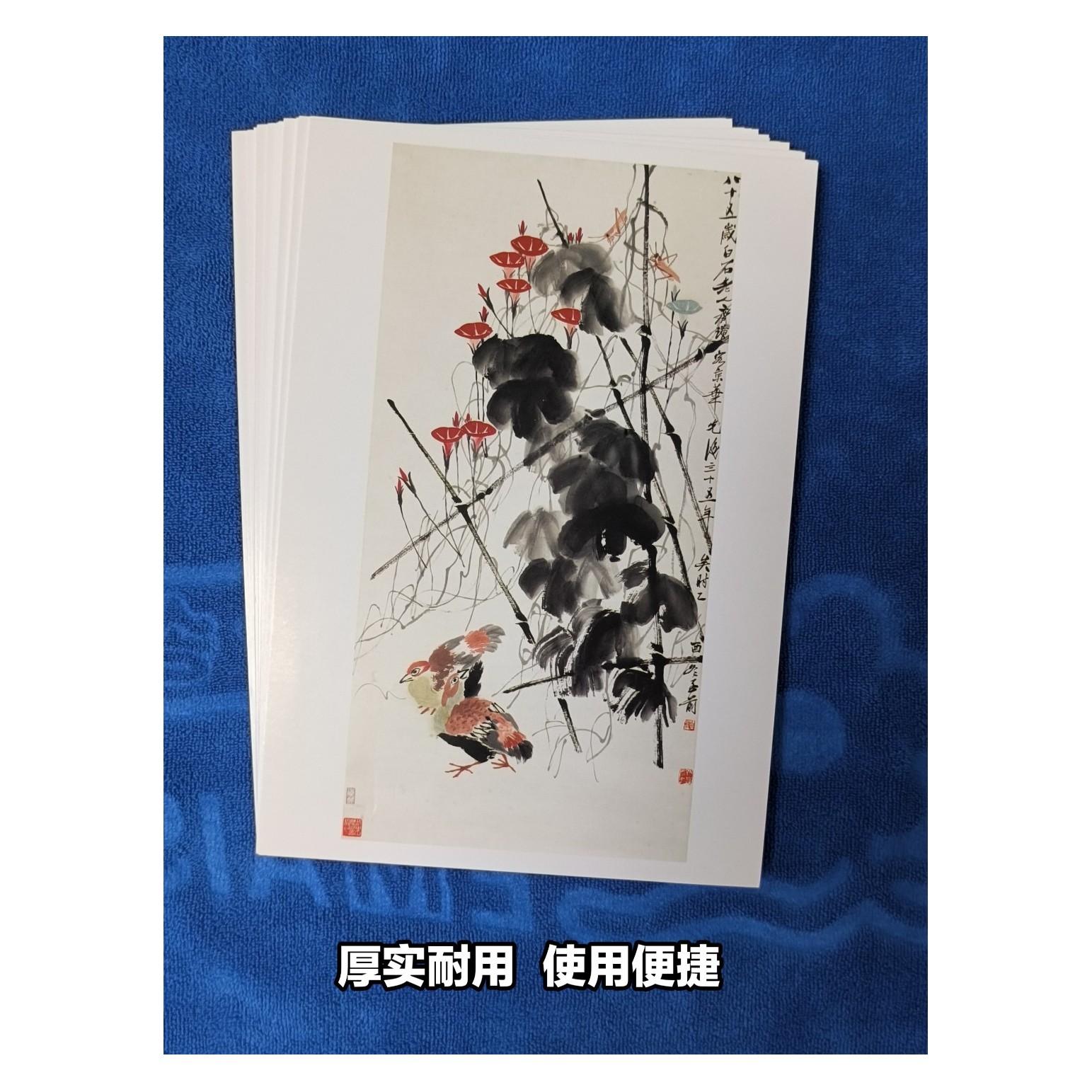 〔美术临摹卡齐白石花鸟草虫〕水墨绘画入门艺术培训教学全套48张