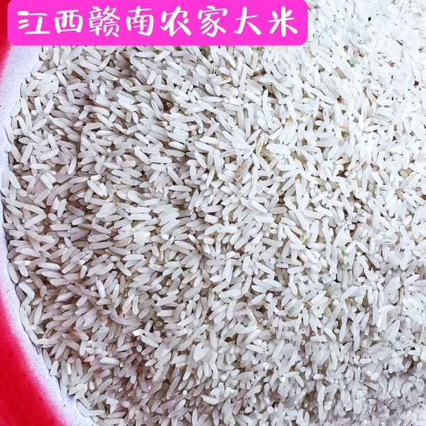 赣南正宗江西农村大米早稻晚稻菠萝粒粒猫牙米大米初加工安远大米
