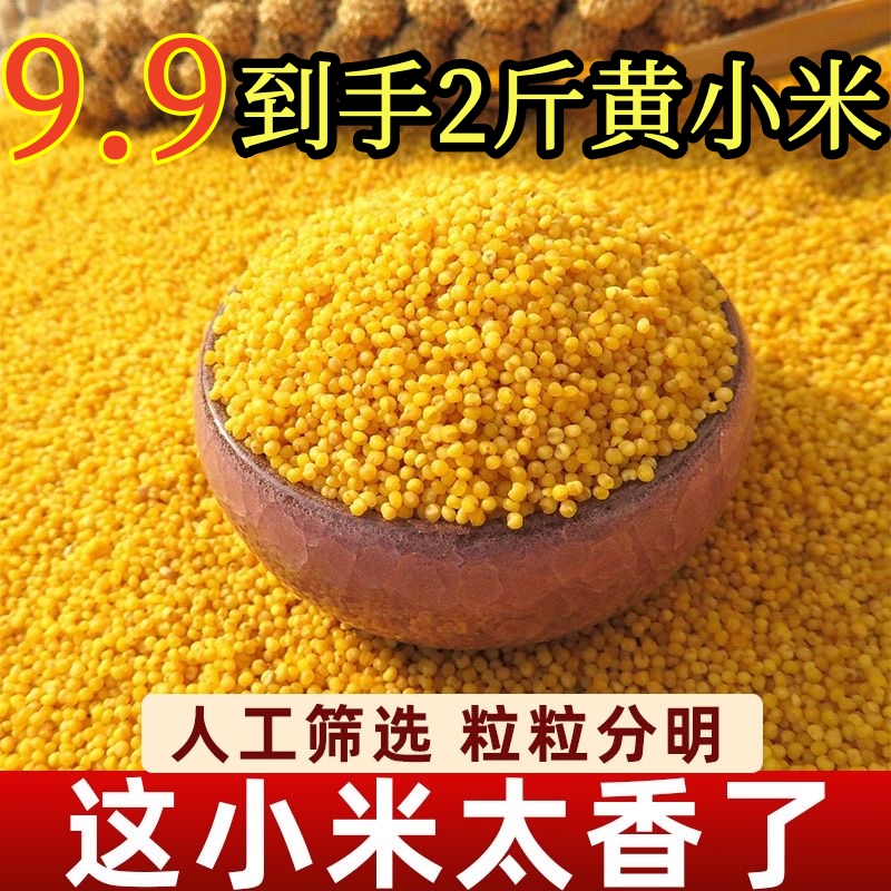 2斤黄小米新米米脂黄小米月子米 小黄米 小米粥 宝宝米米油醇厚