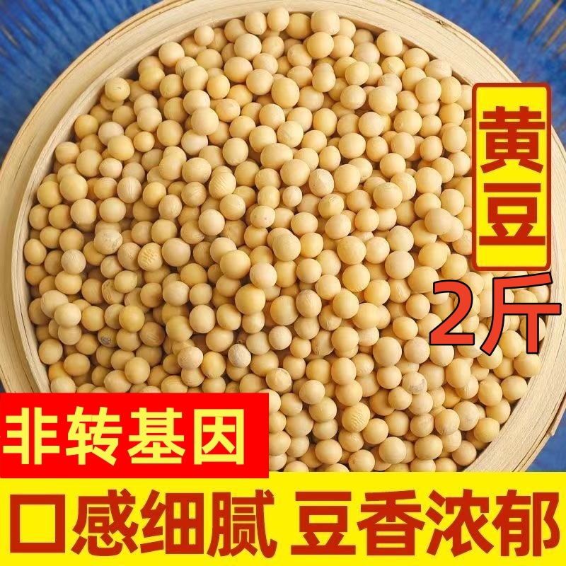 2斤特选黄豆生豆芽打豆浆专用非转基因新黄豆农家自种大豆圆煲汤