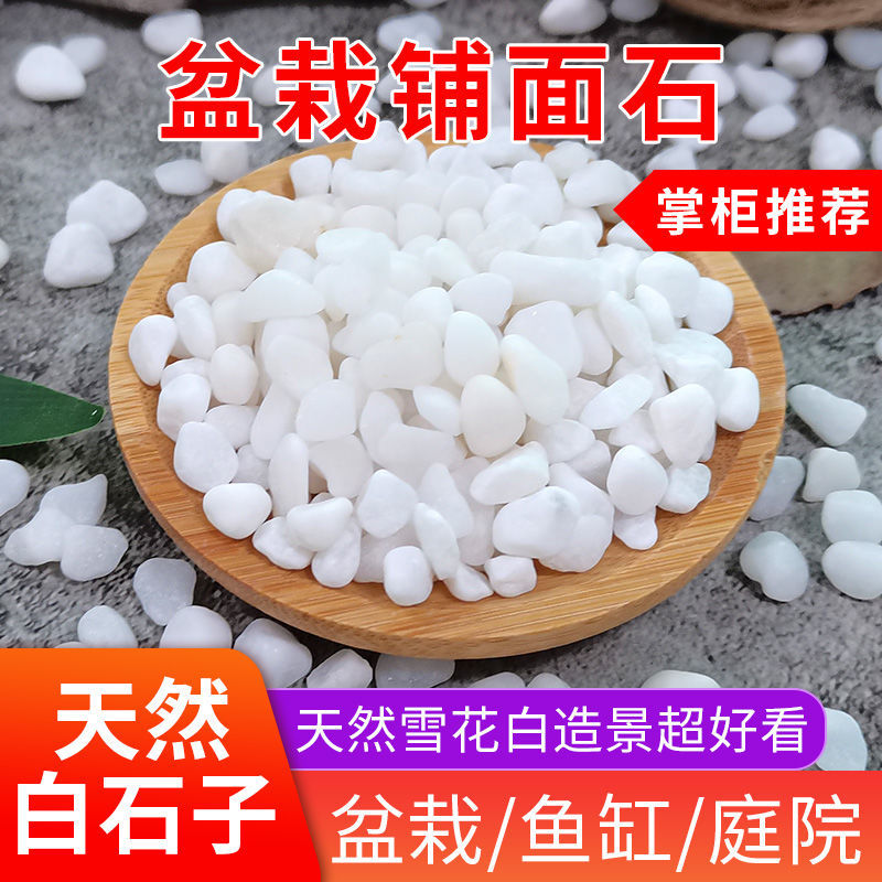 精品多肉铺面石白玉石雨花石原石天然白石子白色小石头花盆栽鱼缸