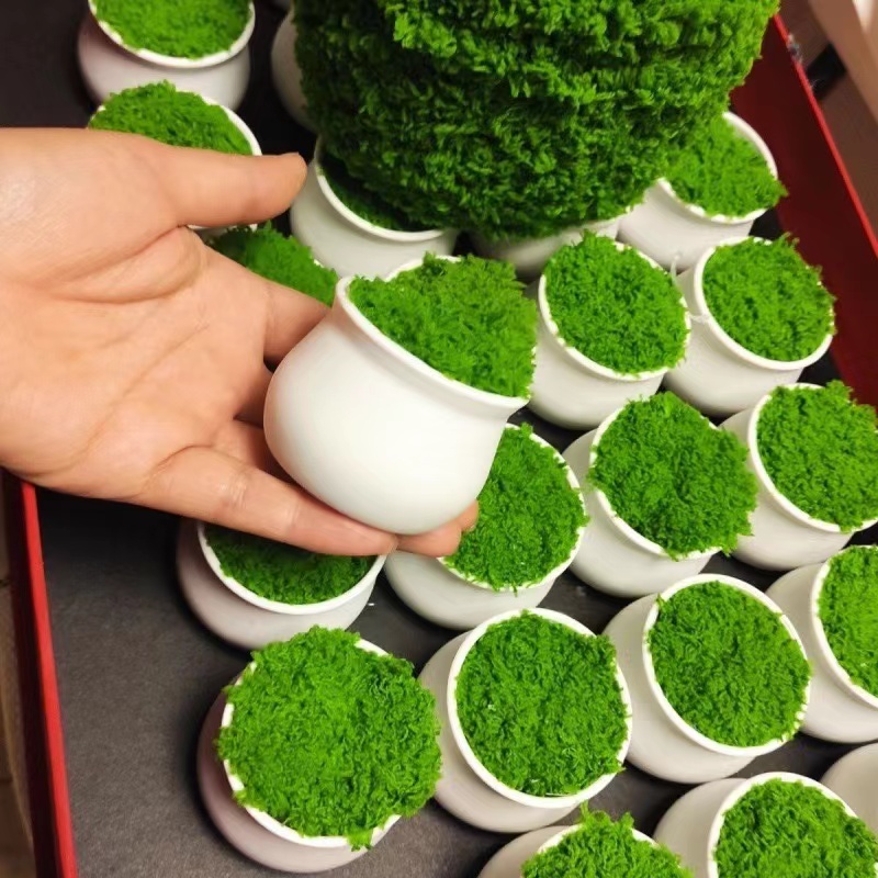 【教师节福利】5*4cm白色塑料迷你花盆手工diy加厚小盆栽摆件高品质