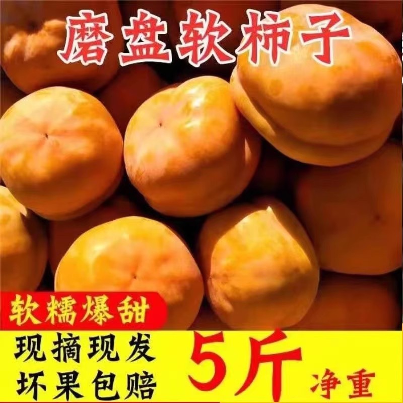 河北柿子沟软柿子新鲜盆柿磨盘柿软蜜非脆柿5斤软柿磨盘大果现摘