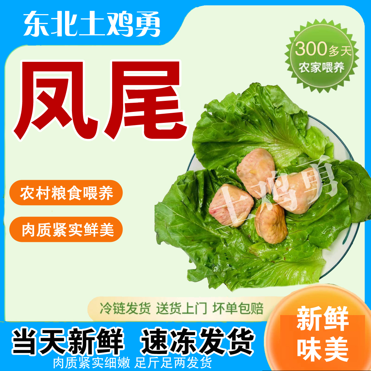 土鸡凤尾（顺丰下单不退坏损赔） 包冰率不含冰