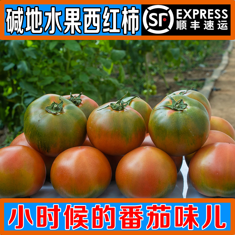 【爆款热卖】3/5斤装盐碱地西红柿 现摘番茄 铁皮草莓柿子顺丰包邮