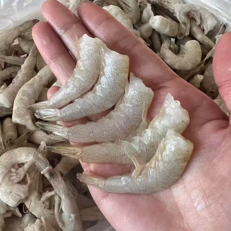 连云港产地顺丰直发  新鲜去头羊毛虾净重3斤发货