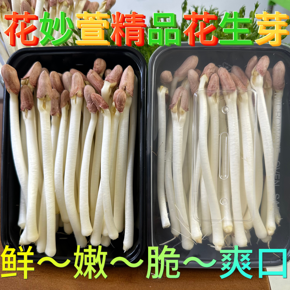 现摘现发新鲜花生芽的蔬菜级芽苗菜