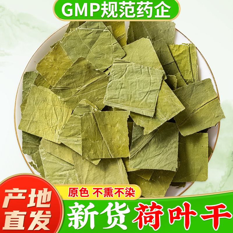 新货荷叶片正品 野生新鲜荷叶干可配荷叶茶荷叶陈皮山楂茶