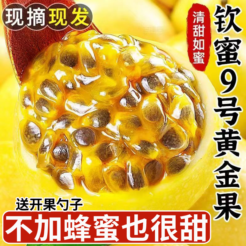 【钦蜜9号】黄金百香果爆甜多汁当季新鲜水果孕妇水果现货包邮ROU