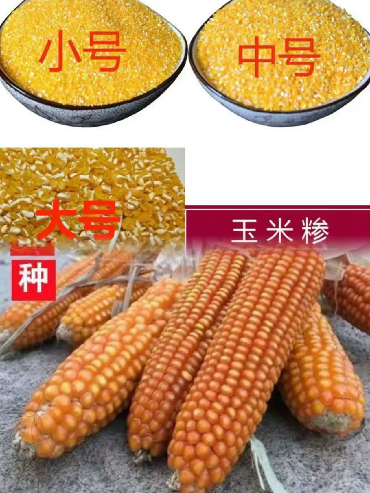 （非种子）陕南农家老品种玉米代客打磨玉米面糁子3斤5斤