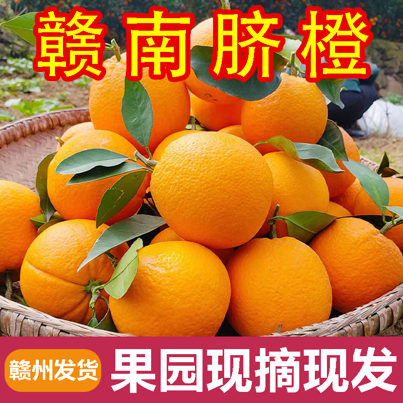 正宗江西当季赣南甜脐橙大果子新鲜水果产地直发果冻橙子皮薄多汁