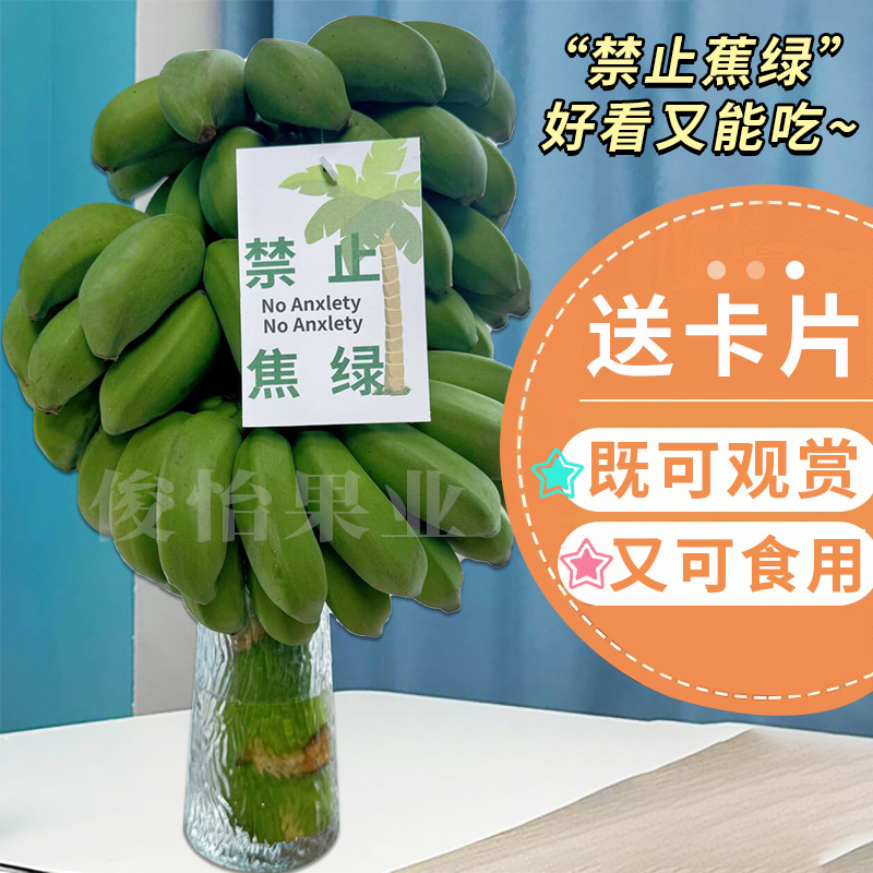 桌面水培香蕉一整株拒绝焦虑办公室摆件绿植小米蕉禁止蕉绿可食用