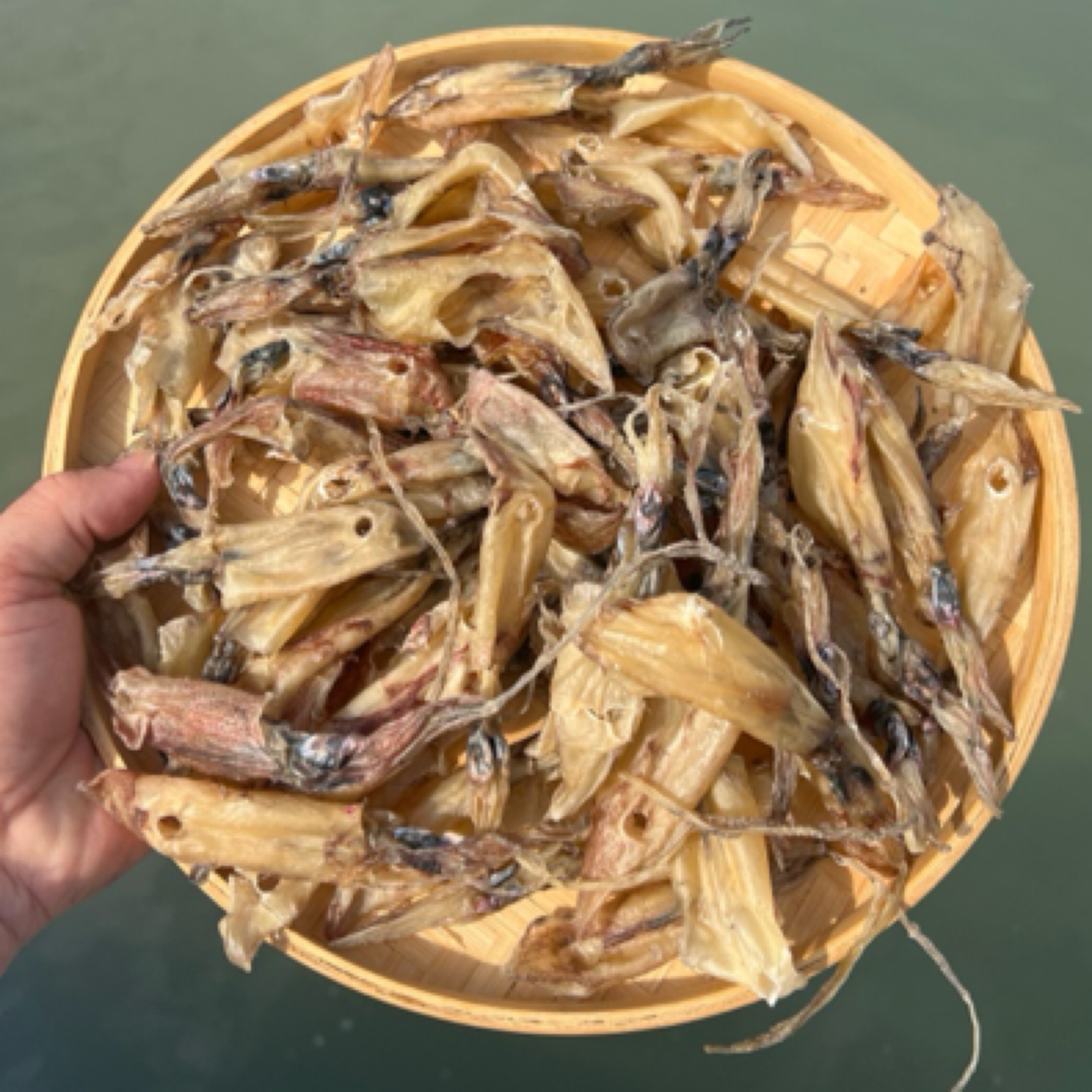 汕尾马宫就船尼仔筒 船晒淡干本港小鱿鱼筒 生晒无沙小鱿鱼干干货
