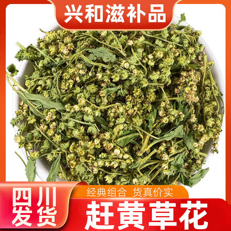【四川发货】正宗四川古蔺赶黄草花茶头茬赶黄草花蕊泡水煮水金银花