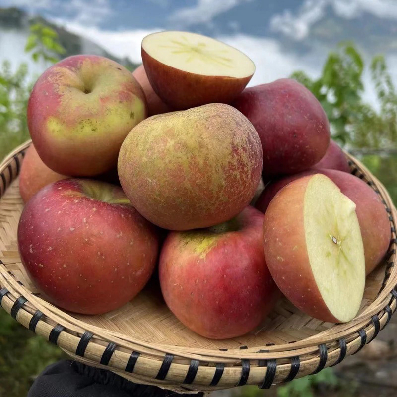 四川大凉山盐源糖心丑苹果  (顺丰/京东快递随机发货）