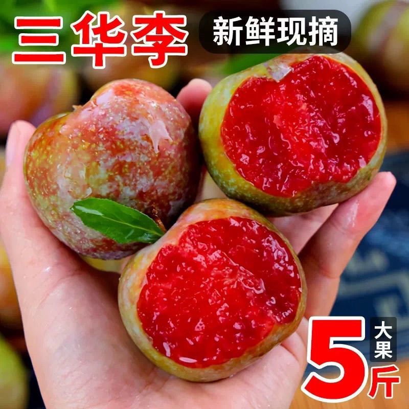 【早上采摘】三华李子应当季新鲜水果福建红心红肉酸野三华李子