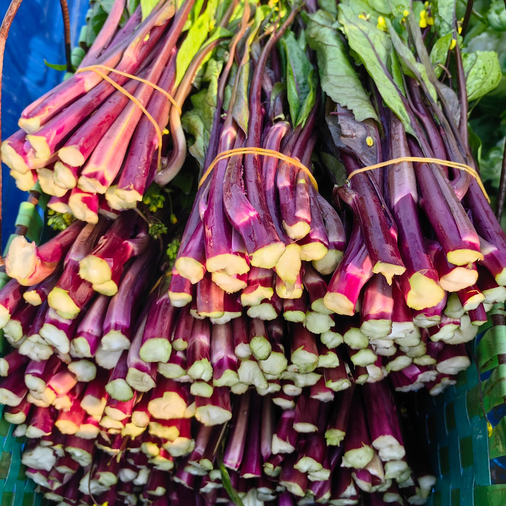 湖北红菜苔农家露天农家肥现摘现发清脆爽甜应季蔬菜打霜清甜