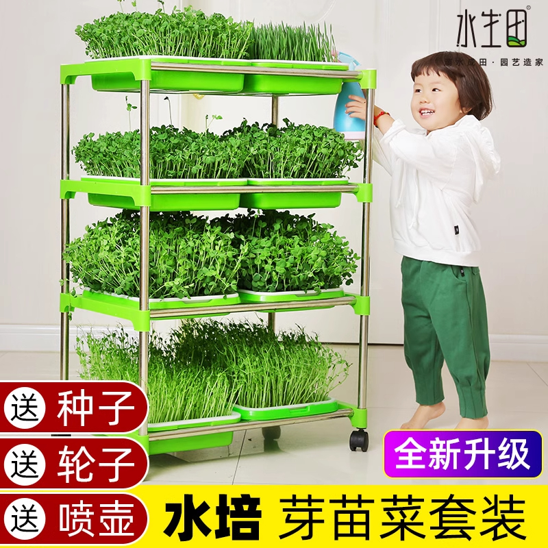 水培育苗盘芽苗菜豆芽发芽盆豆苗水培种植蔬菜芽苗菜全套种植架