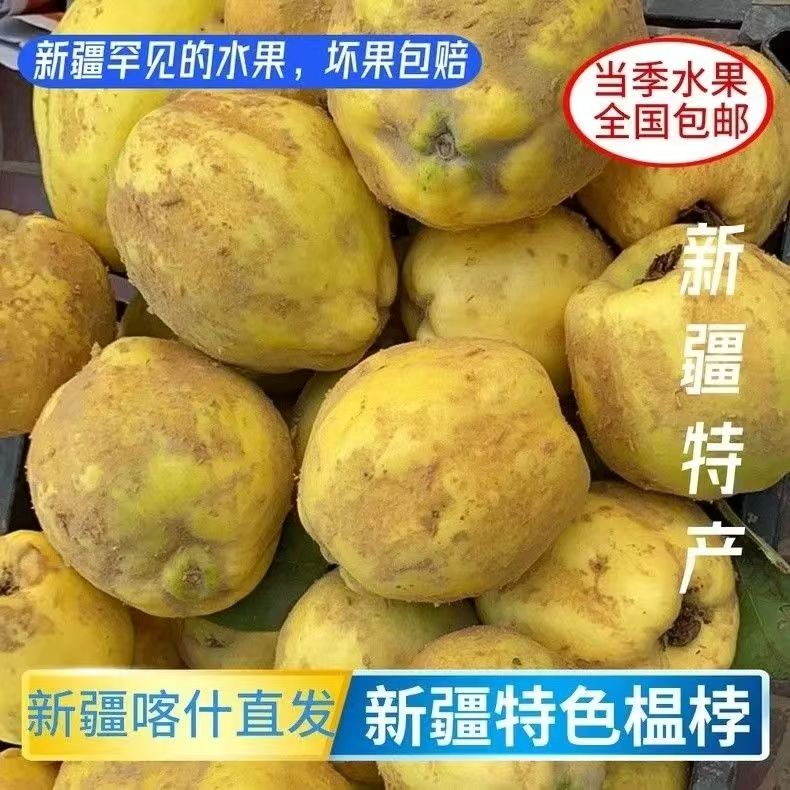 正宗新疆特色榅桲鹅梨帐中香万寿瓜温桲喀什稀有新疆木瓜新鲜水果