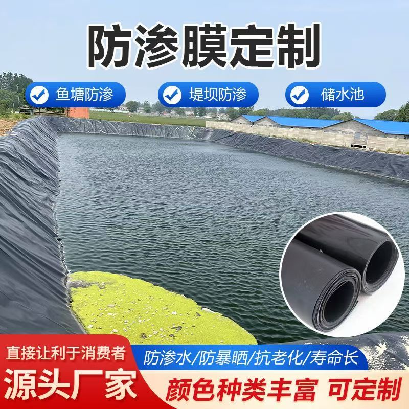 鱼塘防渗膜加厚鱼池防水布蓄水池防漏化粪池护坡黑色土工膜专用