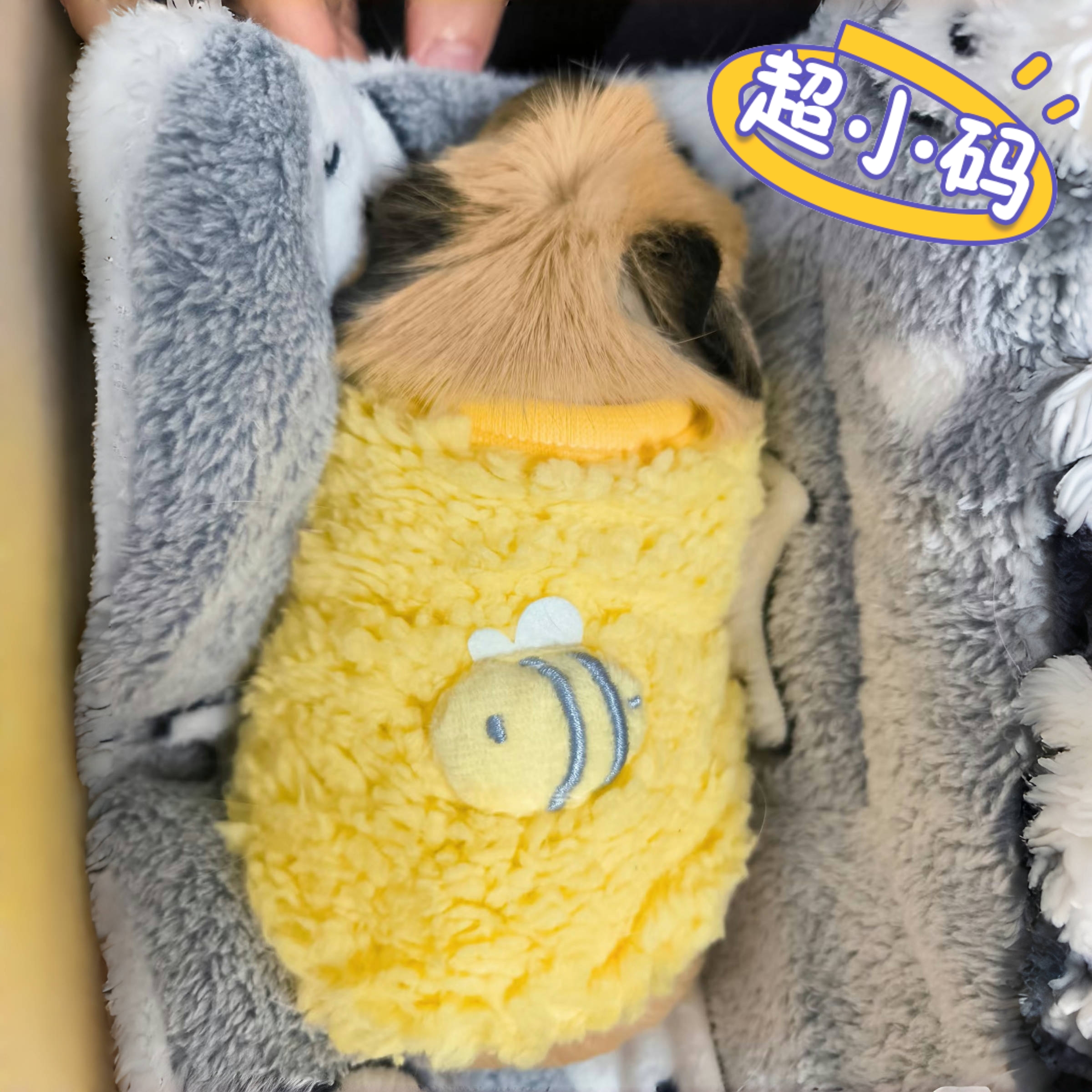 豚鼠天竺鼠衣服冬季荷兰猪衣服幼宠小兔子猫狗保暖衣服超小码衣服