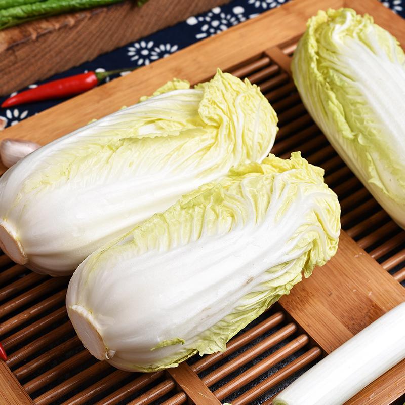 ［现砍现发］霜打精品黄心娃娃菜新鲜露天时令蔬菜火锅食材软糯香甜