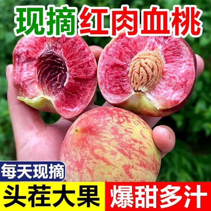 新鲜血桃正宗胭脂红血桃红肉桃子当季毛桃离核血桃孕妇宝宝桃水果