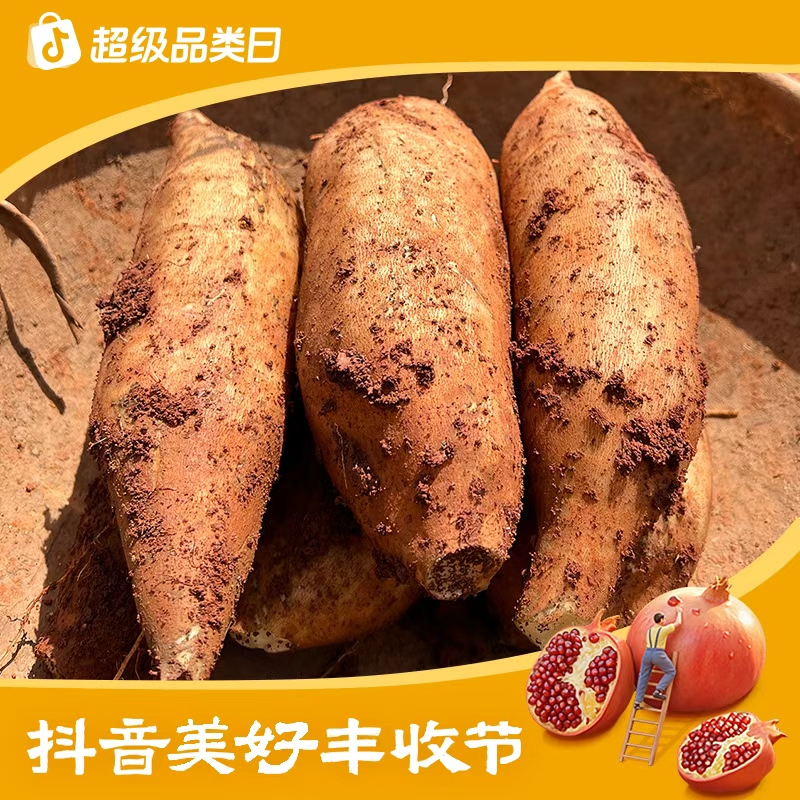 【丰收节特供】云南新鲜雪莲果当季水果脆甜爽口5斤