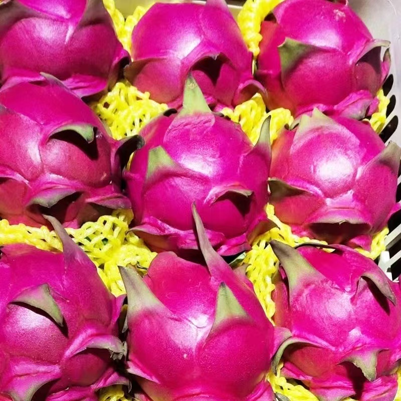 【夏季大放价】红心火龙果金都一号应季热带水果红肉火龙果