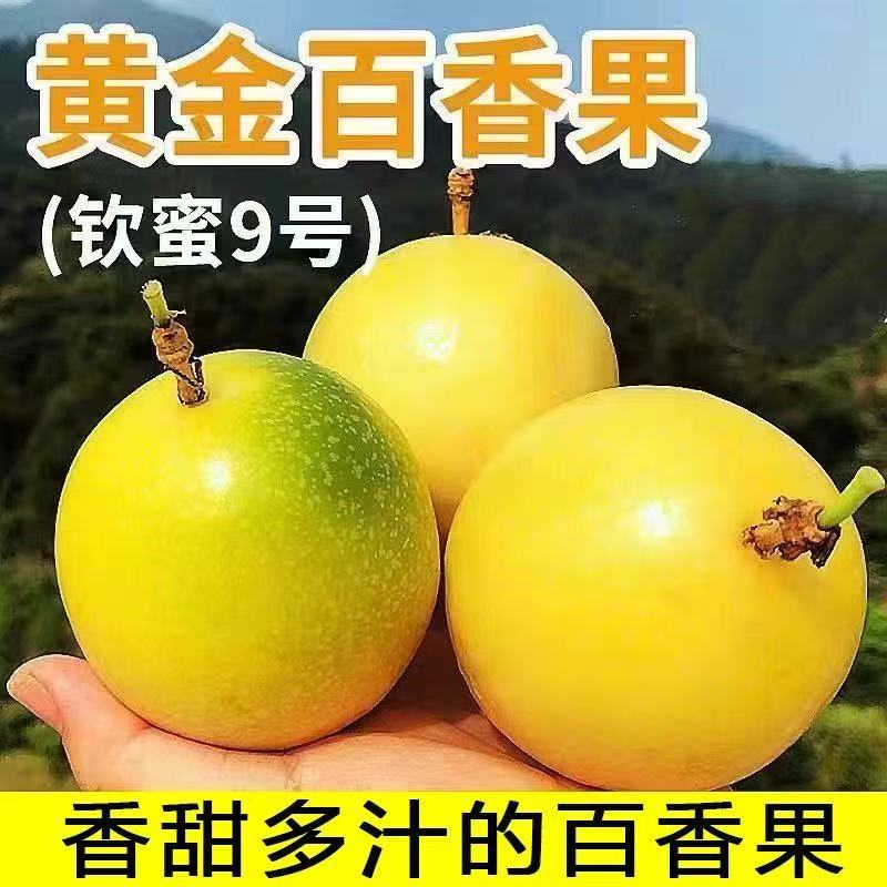 A3正宗钦蜜9号黄金百香果当季新鲜水果酸甜多汁孕妇水果