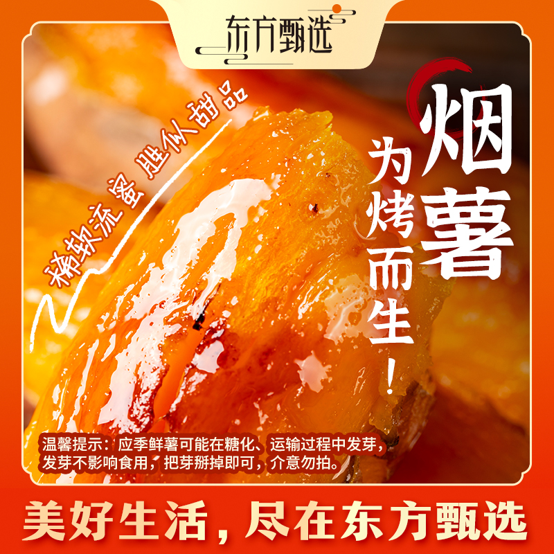 东方甄选自营烟薯香甜软糯新鲜蔬菜早餐空气炸锅烤红薯坏果包赔