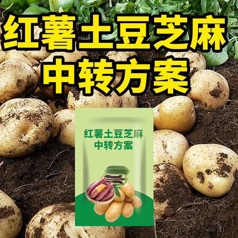 G 蔬菜红薯土豆芝麻-专用四合一套装不伤农作物厂家直销增产方案