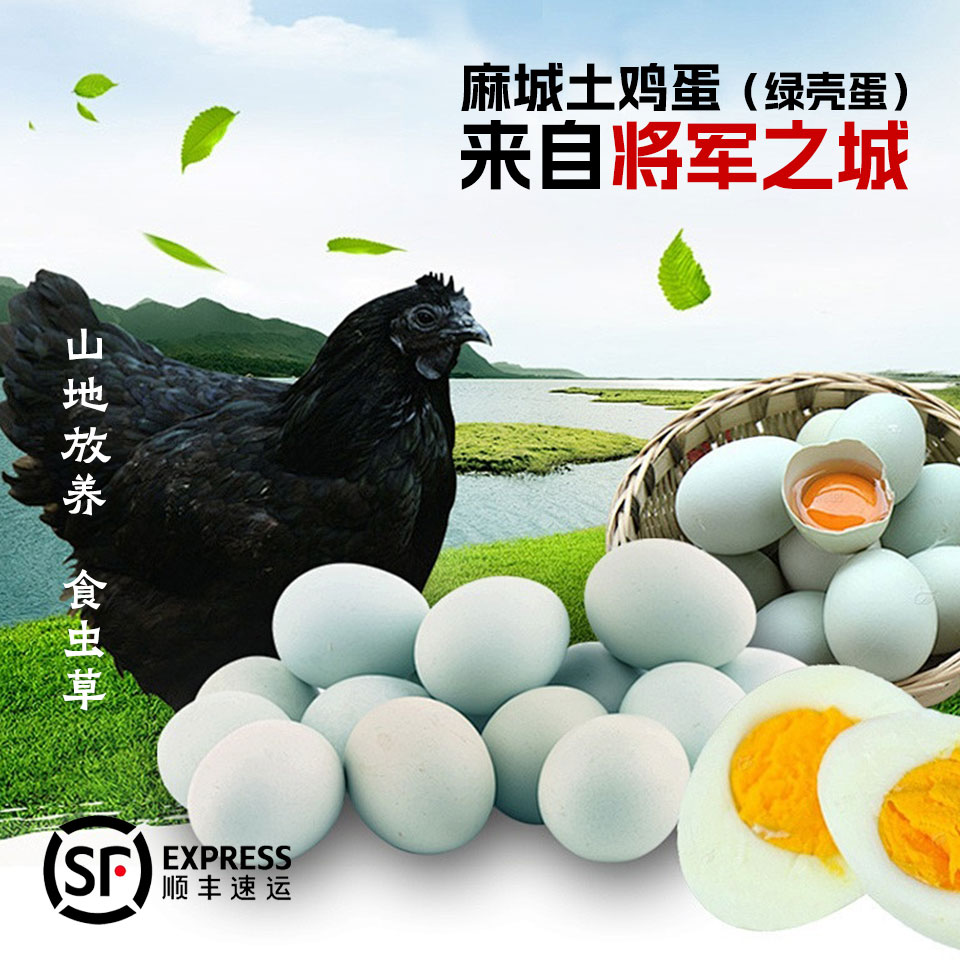 【50枚顺丰发货】正宗大别山绿壳跑山鸡蛋30枚/50枚山地散养